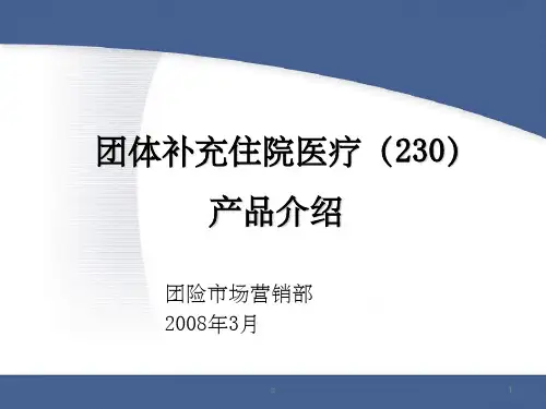 《补充医疗新》PPT课件