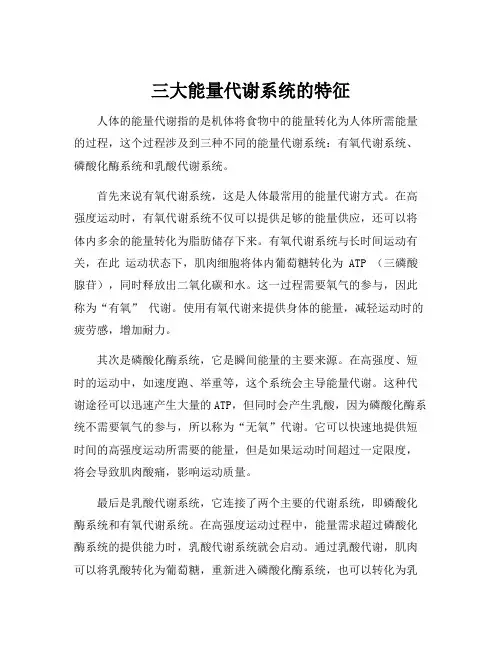 三大能量代谢系统的特征
