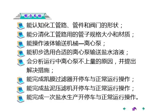 离子膜烧碱生产工艺操作完教学课件完整版电子教案