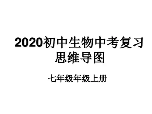 初中生物总复习全四册思维导图