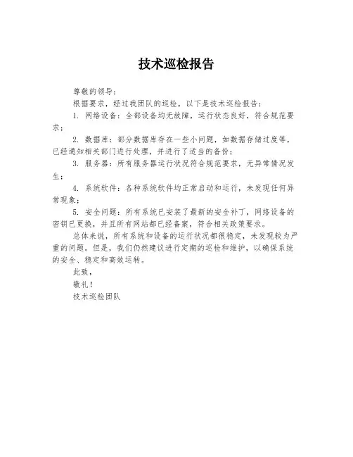 技术巡检报告