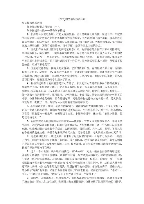 [作文]细节描写精彩片段