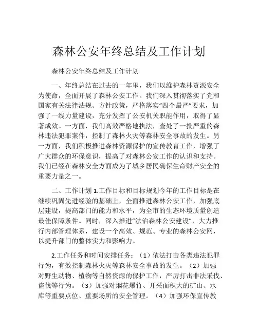 森林公安年终总结及工作计划