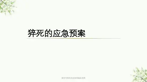 突发性猝死的应急预案及流程课件