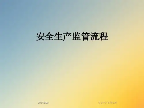 安全生产监管流程
