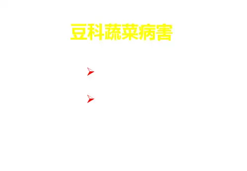 豆科蔬菜病害ppt课件
