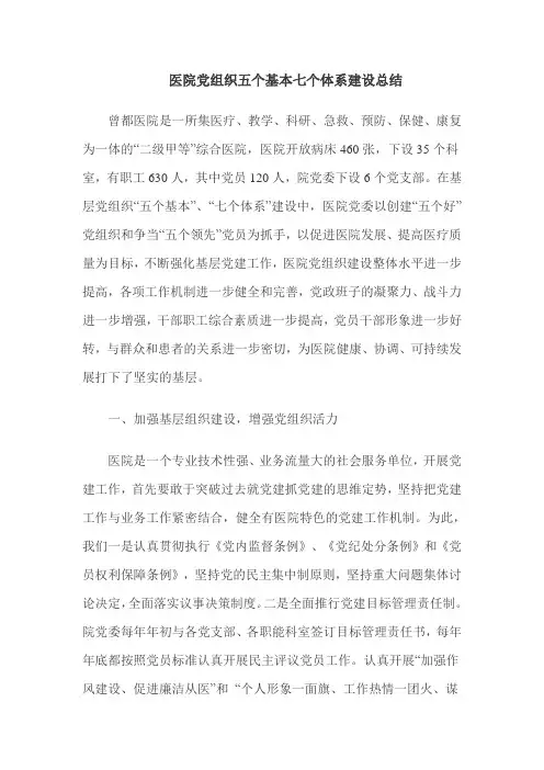医院党组织五个基本七个体系建设总结