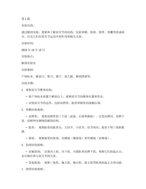 解剖实验报告肩关节(3篇)
