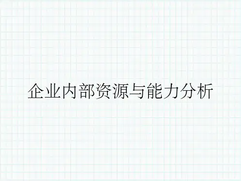 企业内部资源与能力分析