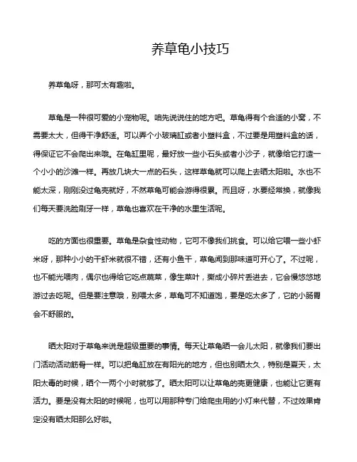 养草龟小技巧