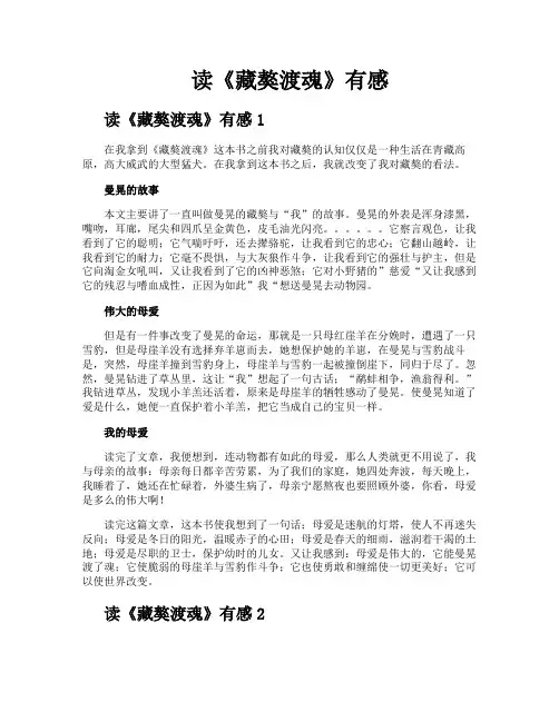 读《藏獒渡魂》有感