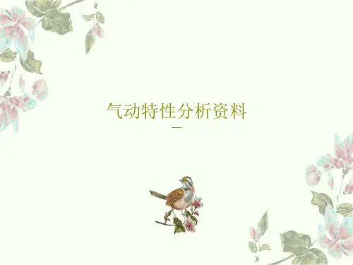 气动特性分析资料共51页文档