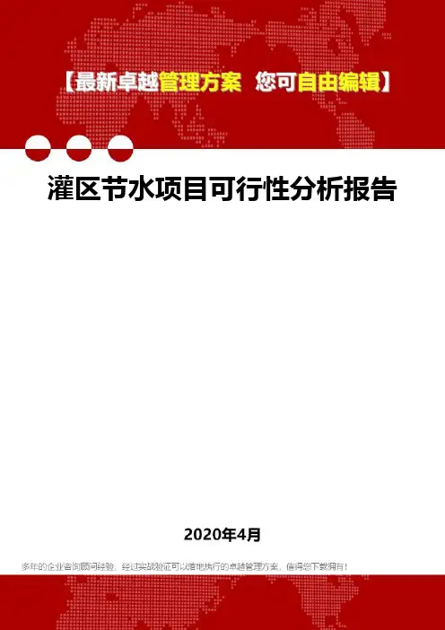 (2020)灌区节水项目可行性分析报告