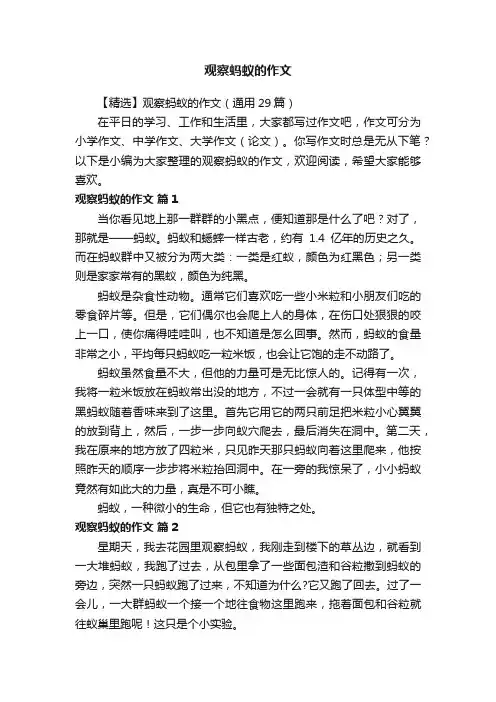【精选】观察蚂蚁的作文（通用29篇）