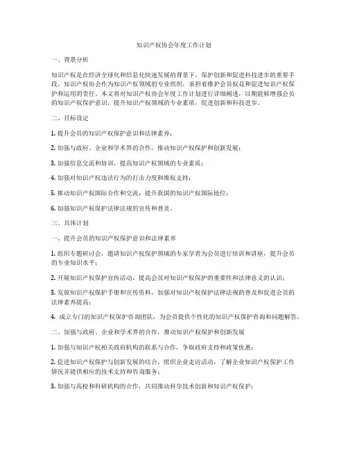 知识产权协会年度工作计划