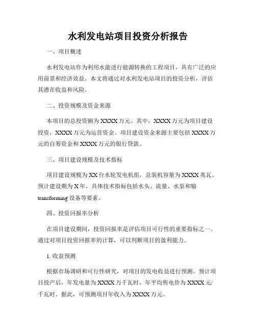 水利发电站项目投资分析报告