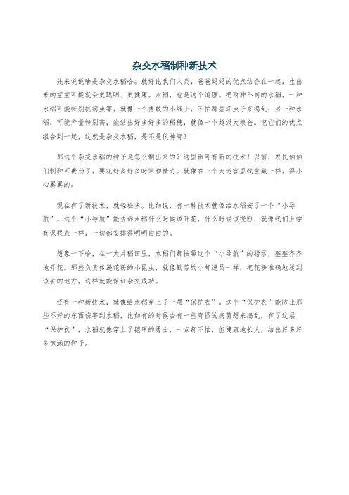 杂交水稻制种新技术