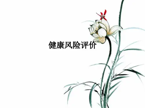 健康风险评价ppt课件