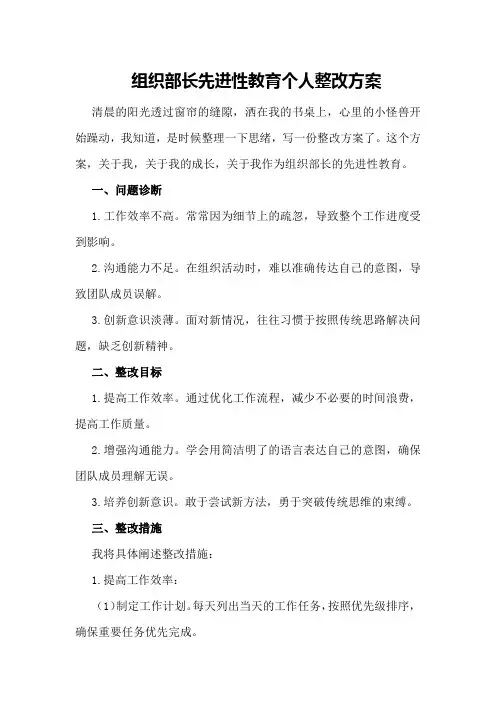 组织部长先进性教育个人整改方案