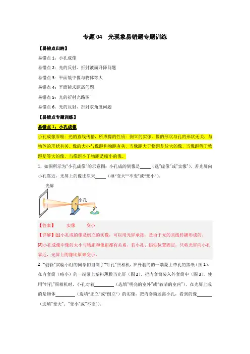 专题04光现象易错题专题训练