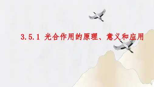 3.5.1 光合作用—光合作用的原理、意义和应用(课件)七年级生物上册(北师大版)