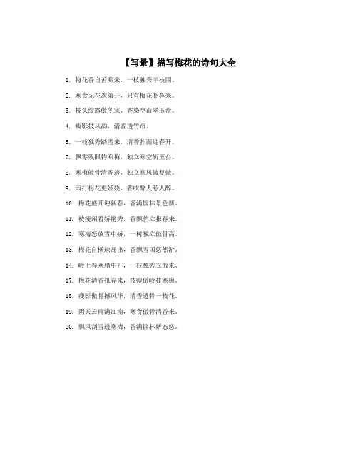 【写景】描写梅花的诗句大全