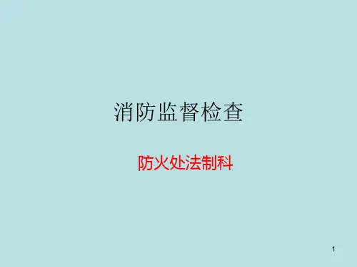 消防监督检查ppt课件