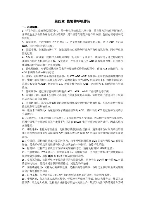 第四章 植物的呼吸作用