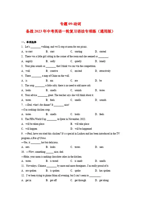 专题09-动词-备战2023年中考英语一轮复习语法专项练(通用版)(原卷版)