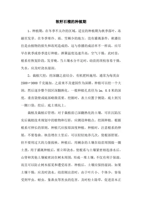 软籽石榴的种植期