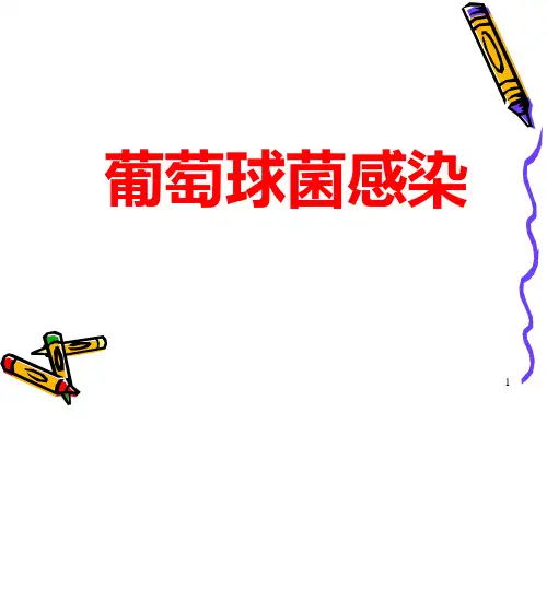 葡萄球菌感染课件