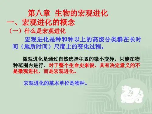 生物的宏观进化