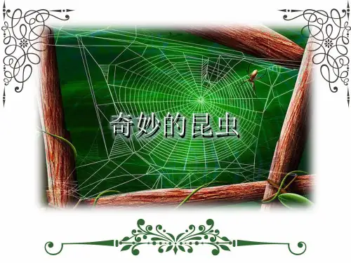 一年级美术下册《奇妙的昆虫》课件