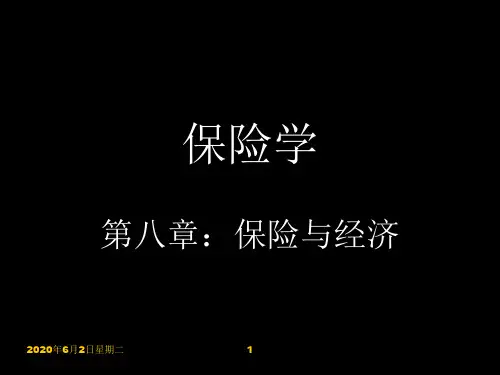 第八章：保险与经济