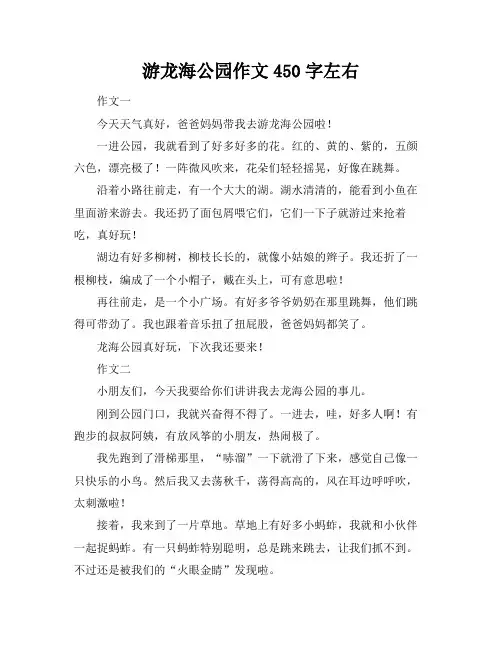 游龙海公园作文450字左右