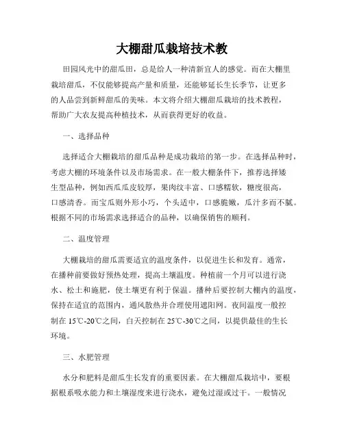 大棚甜瓜栽培技术教