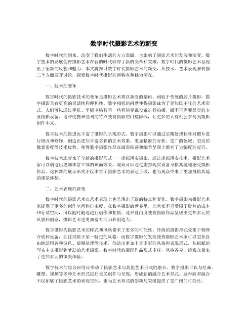数字时代摄影艺术的新变