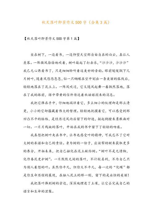 秋天落叶即景作文500字(合集3篇)
