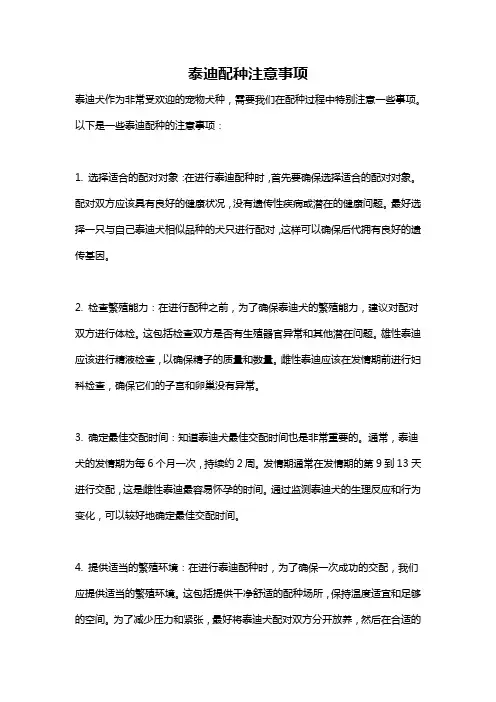 泰迪配种注意事项