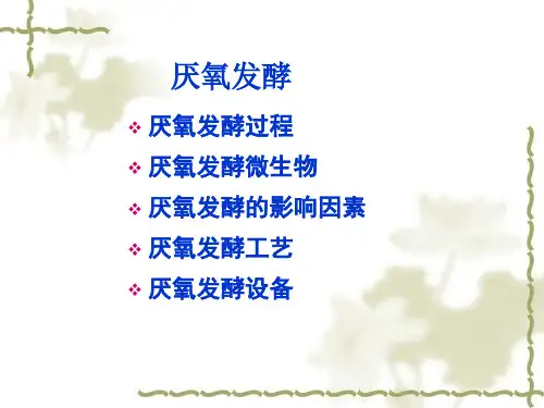 厌氧发酵演示