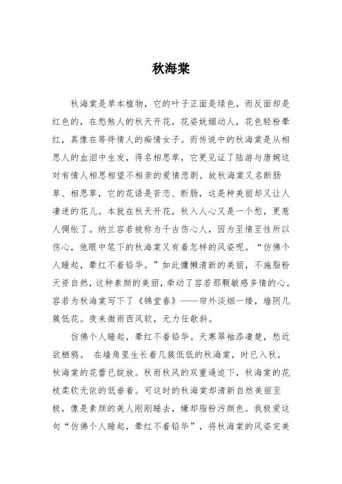 小学六年级作文：秋海棠