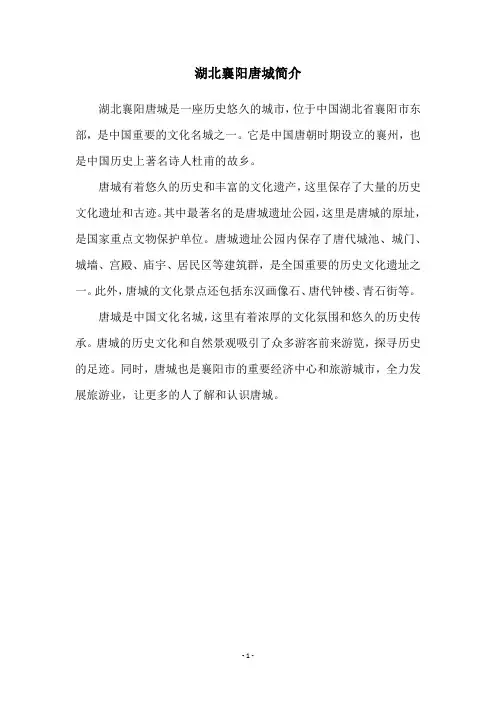 湖北襄阳唐城简介