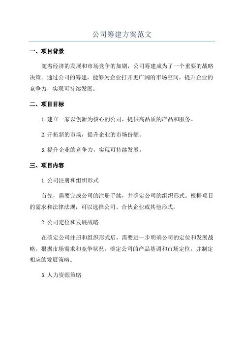 公司筹建方案范文