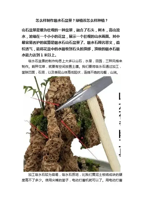 怎么样制作吸水石盆景？绿植该怎么样种植？