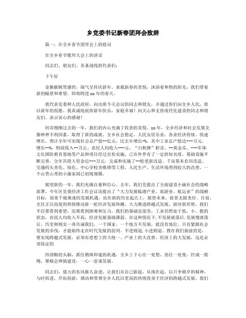 乡党委书记新春团拜会致辞
