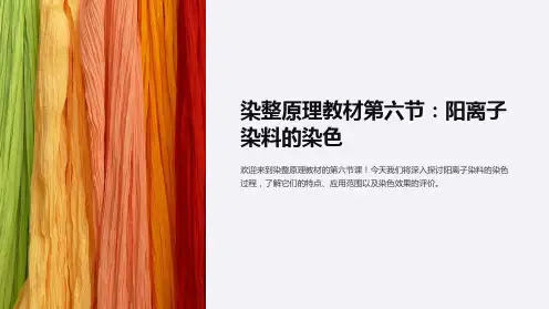 染整原理教材第六节阳离子染料的染色