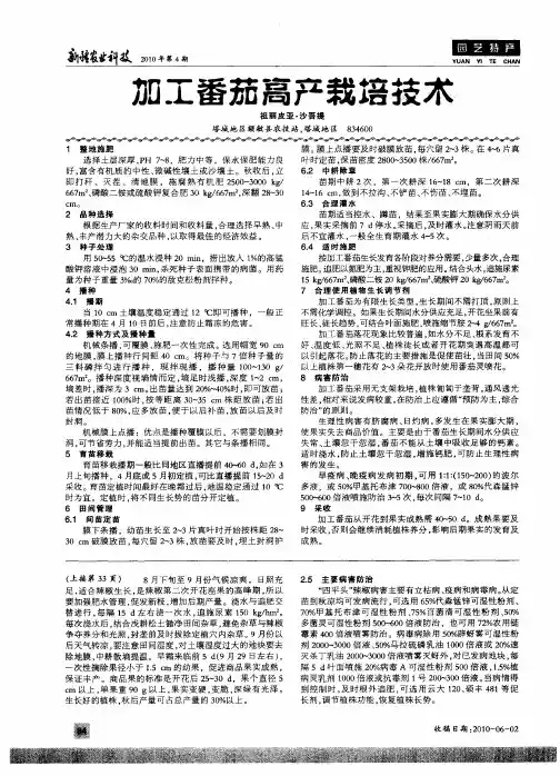 加工番茄高产栽培技术