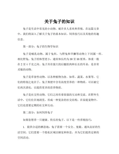 关于兔子的知识