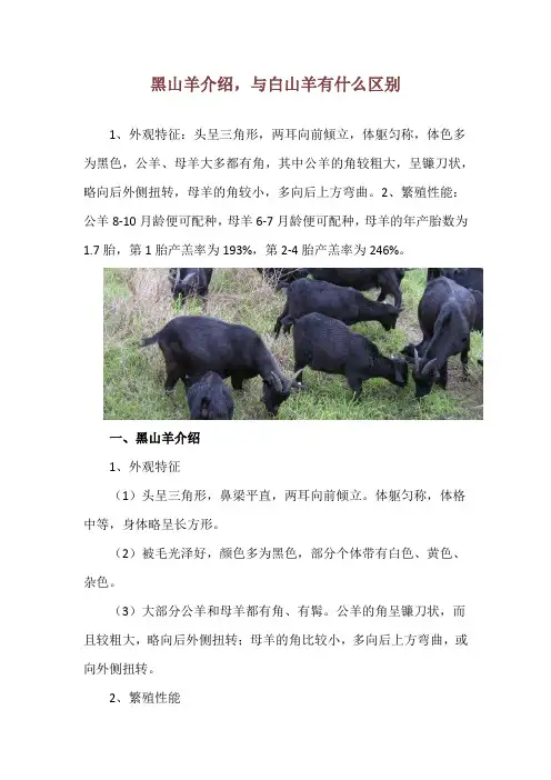黑山羊介绍,与白山羊有什么区别