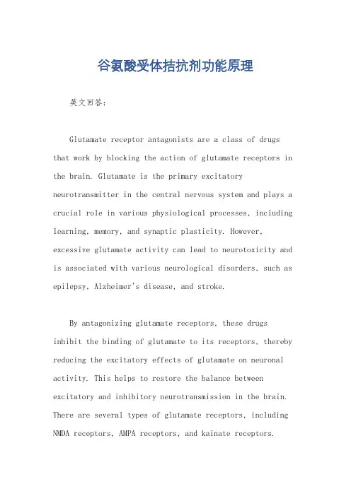 谷氨酸受体拮抗剂功能原理